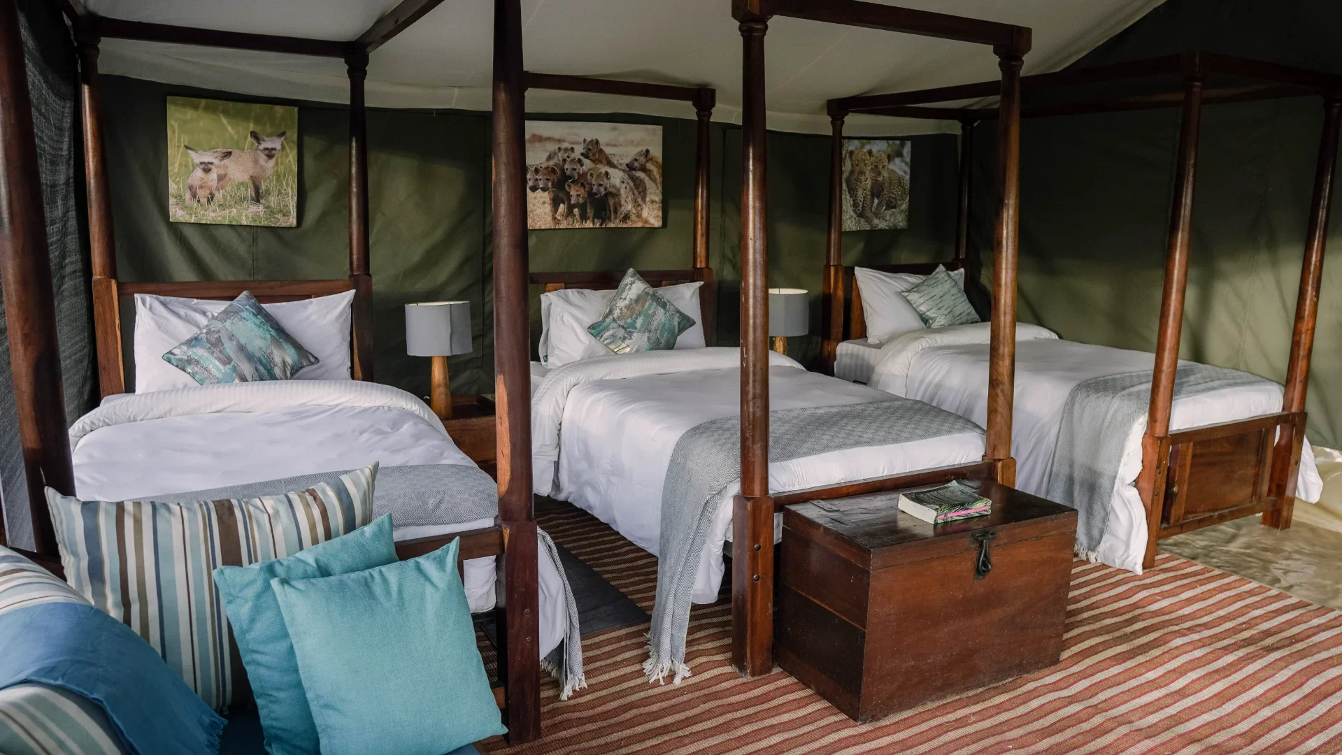 Ang'ata Migration – Ndutu Camp