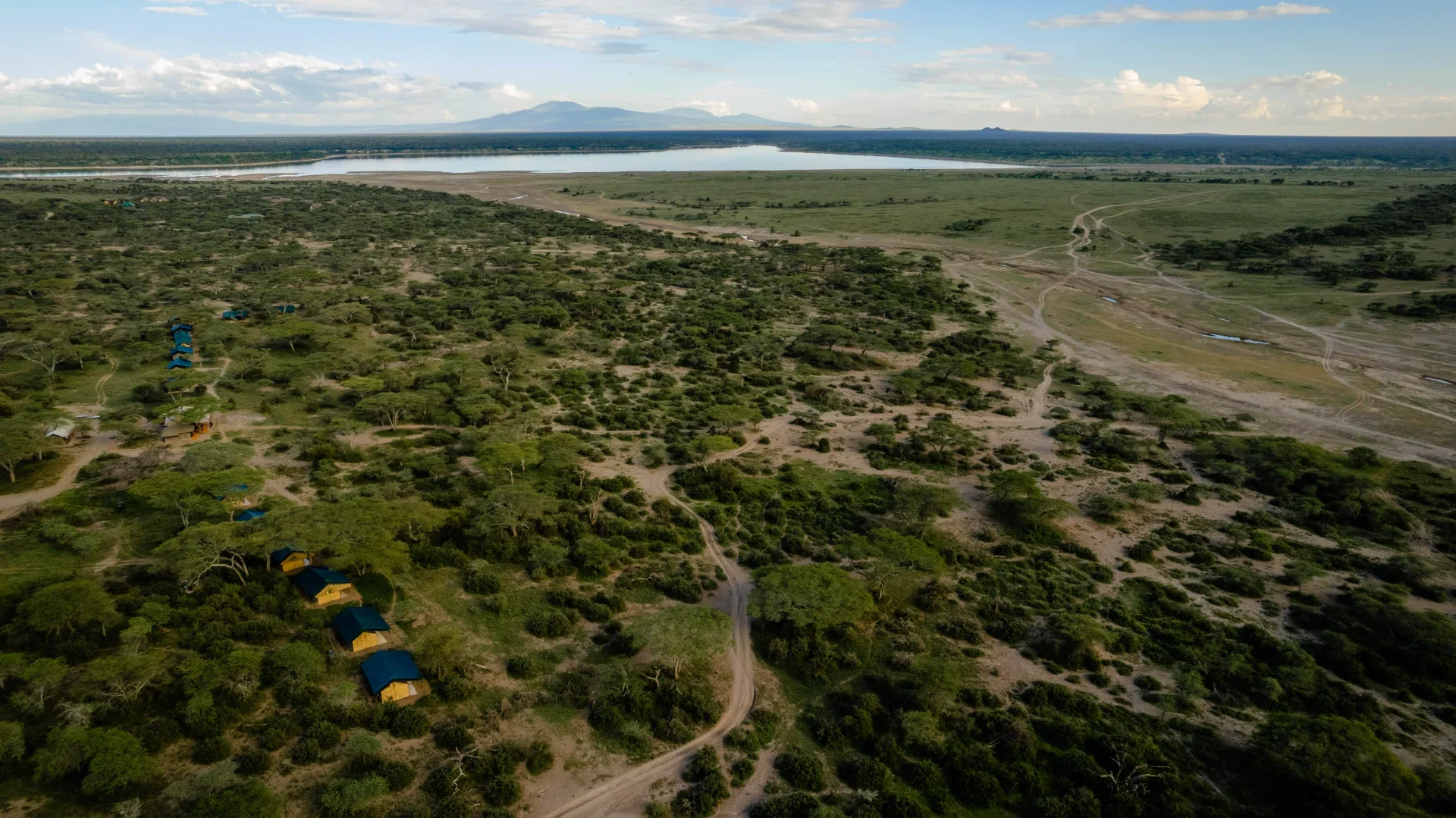 Ang'ata Migration – Ndutu Camp