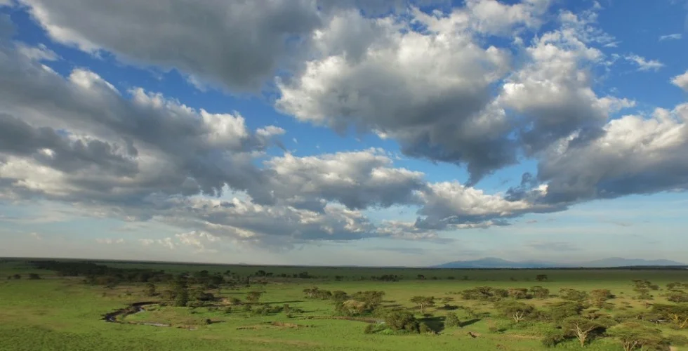 Serian's Serengeti South