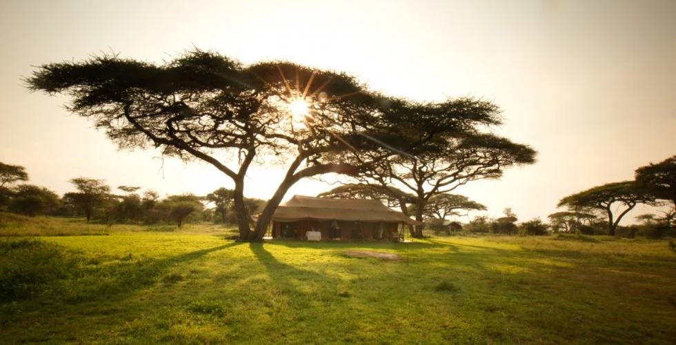 Serian's Serengeti Mobile (Kusini)
