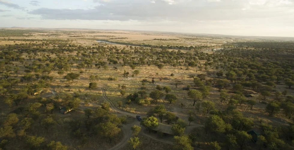 Serian's Serengeti Lamai