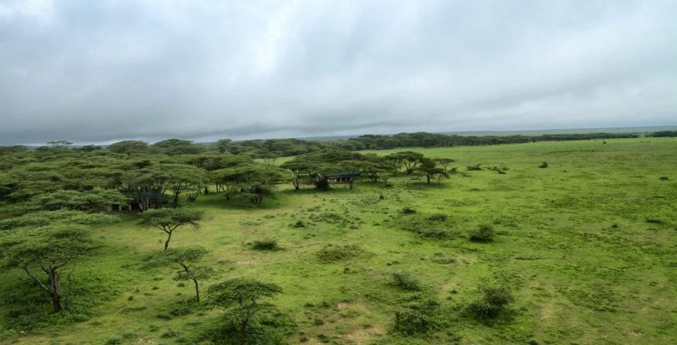 Serian's Serengeti South