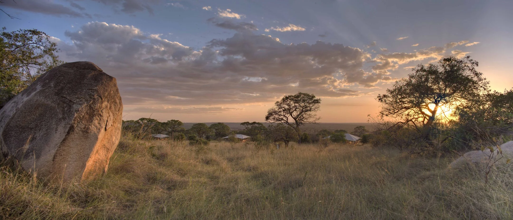 Serengeti Bushtops Camp