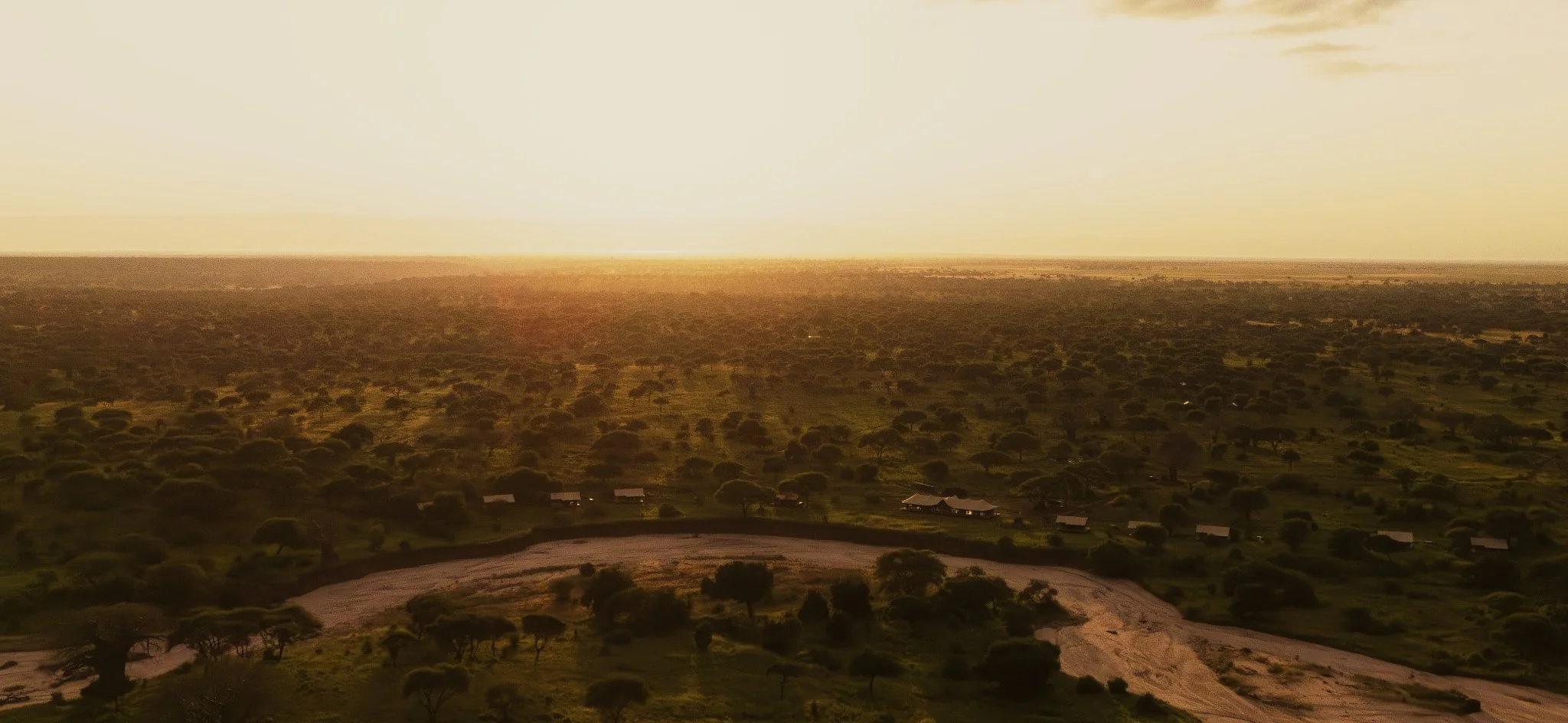 Conserve Safari Tarangire