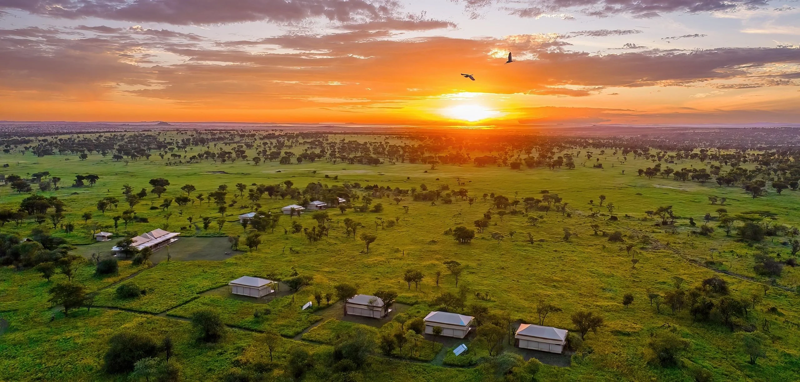 Elwai Camp