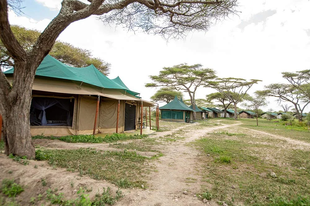 Ndutu Heritage Camp