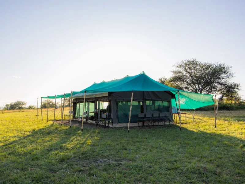 Kimbilio Serengeti Camp Lobo