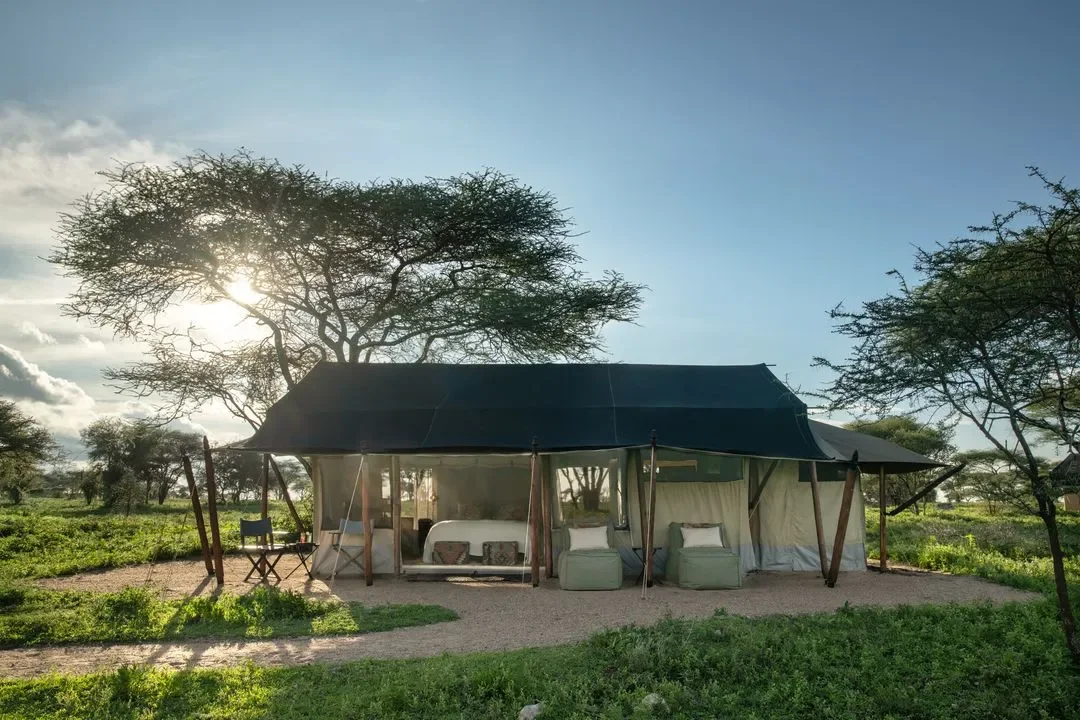 Mwiba Plains, Auberge Safari