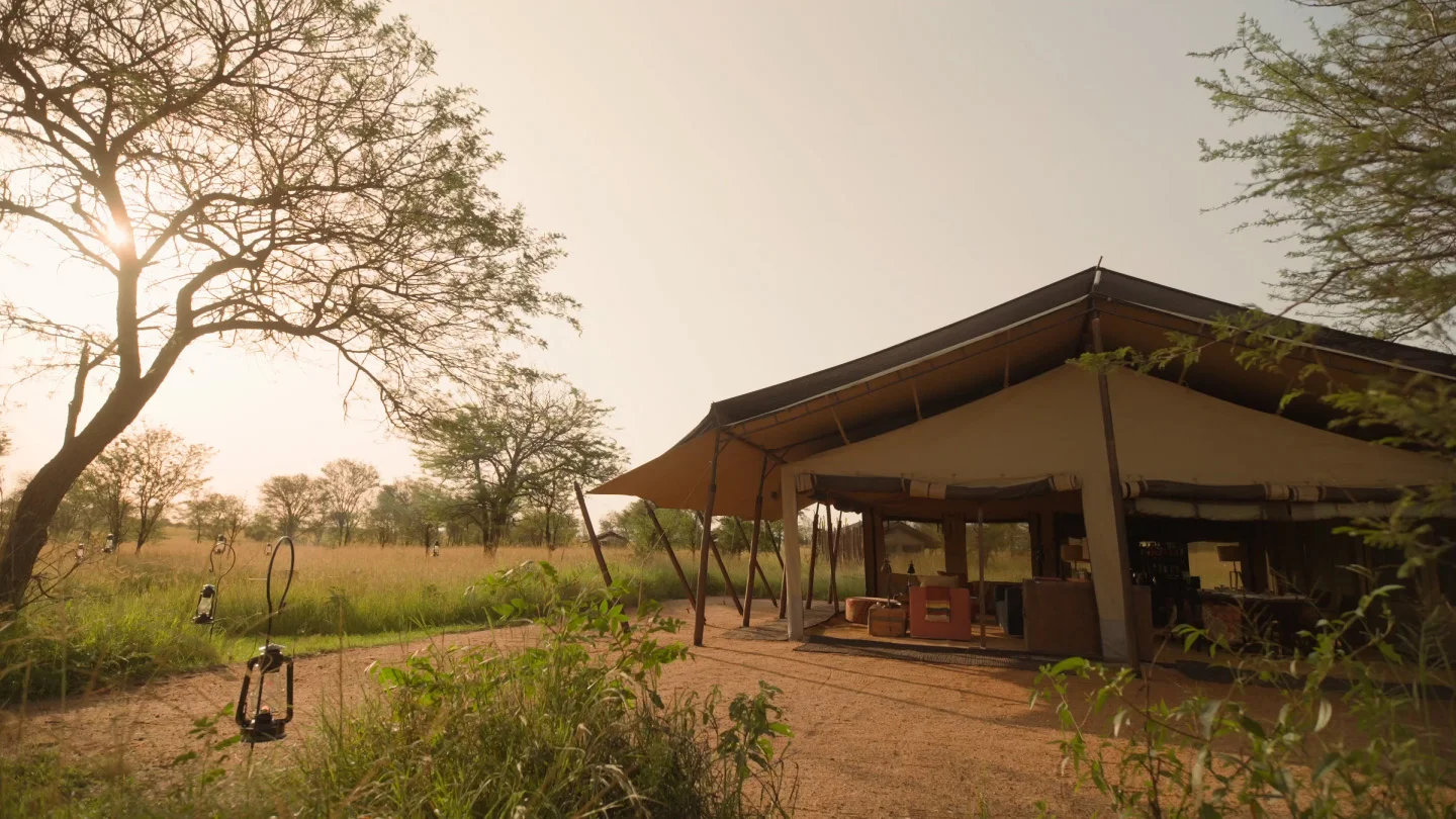 Nyasi, Auberge Safari