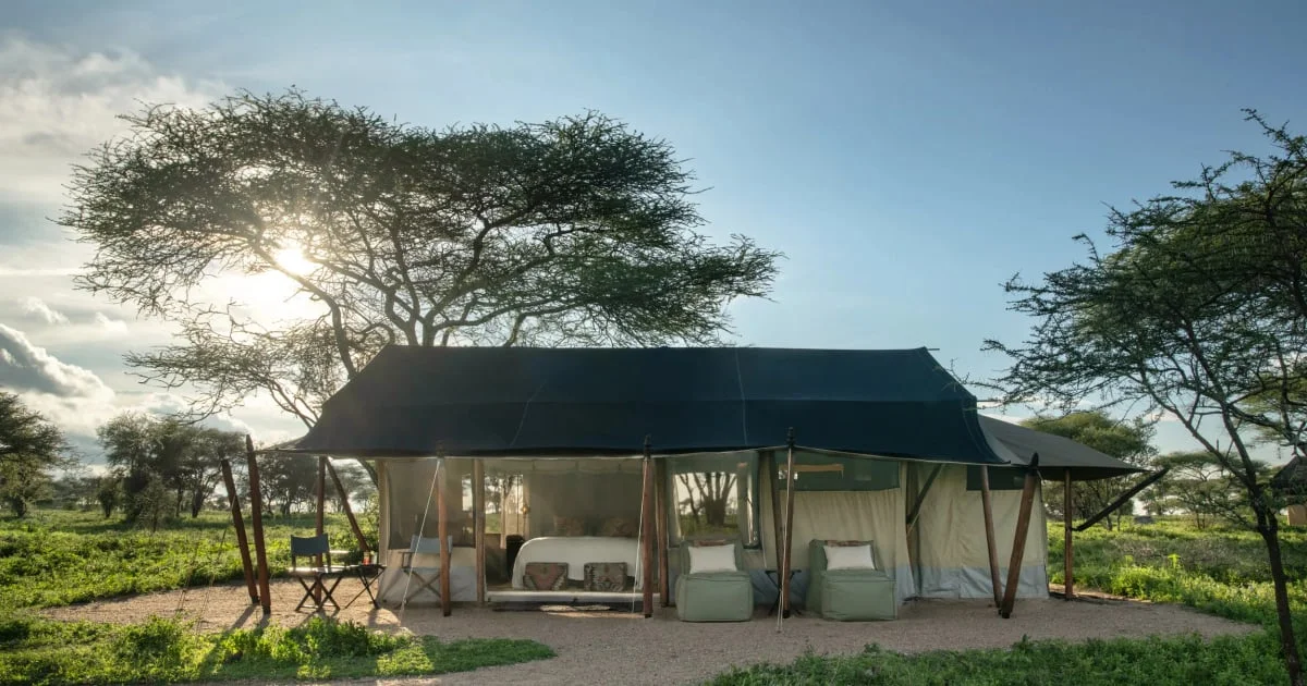 Mwiba Plains, Auberge Safari