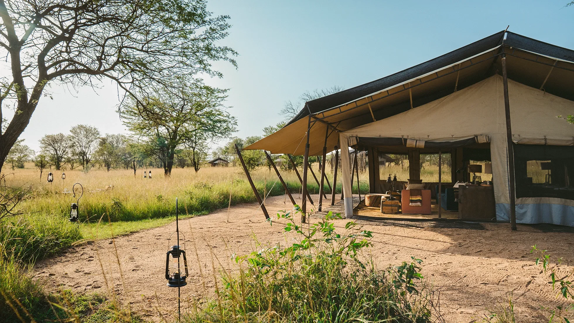 Nyasi, Auberge Safari