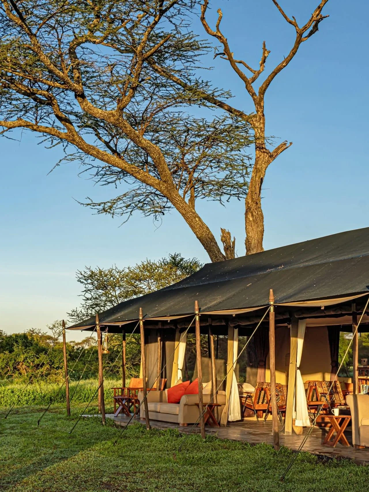 Lemala Mara & Ndutu Tented Camp
