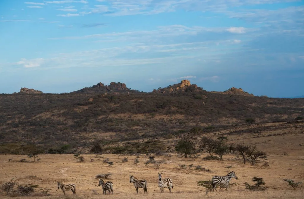 Manyara's Secret