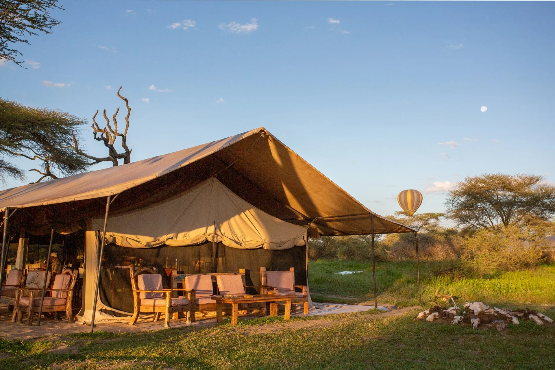 Gnu Ndutu Camp