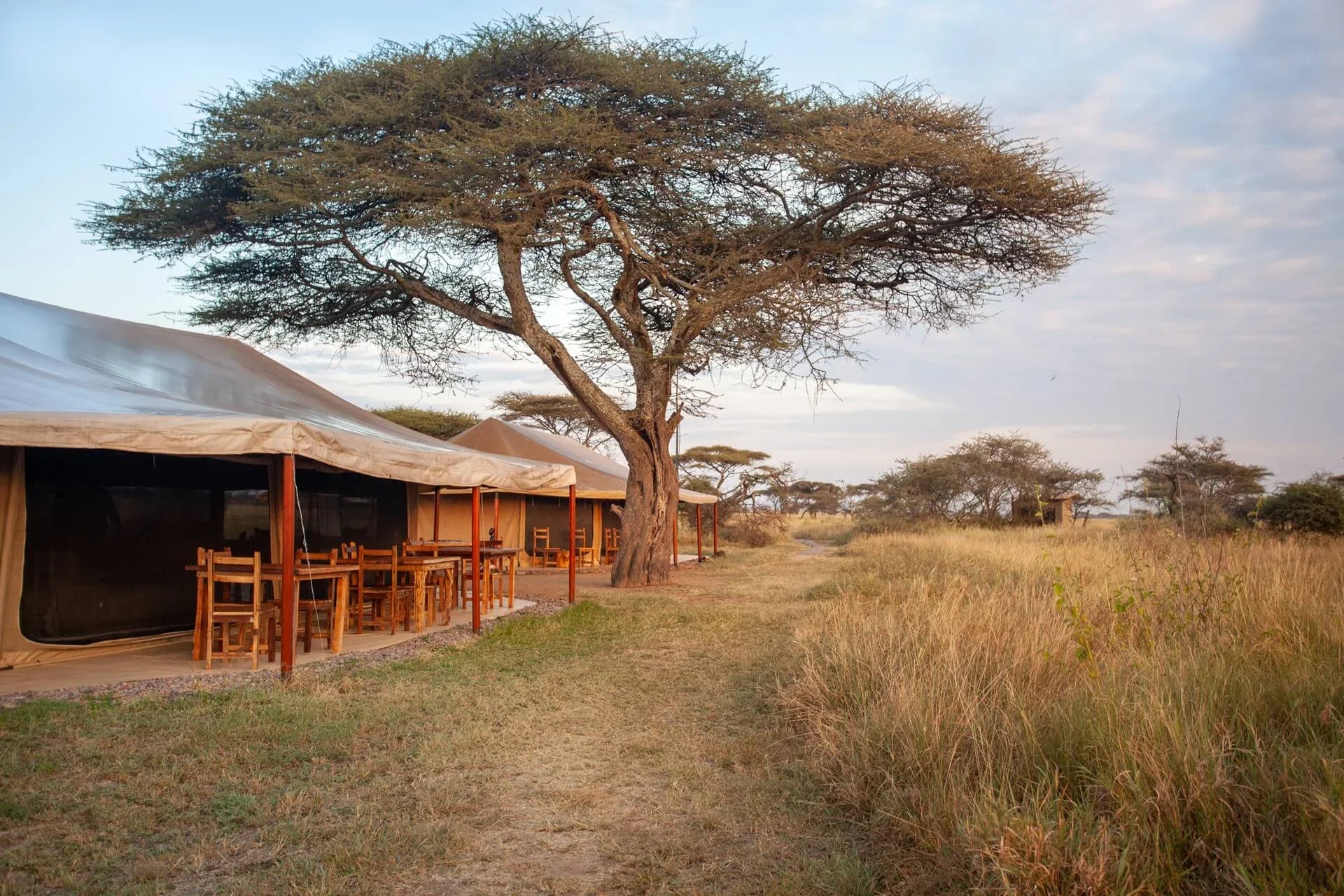 Mawe Tented Camp