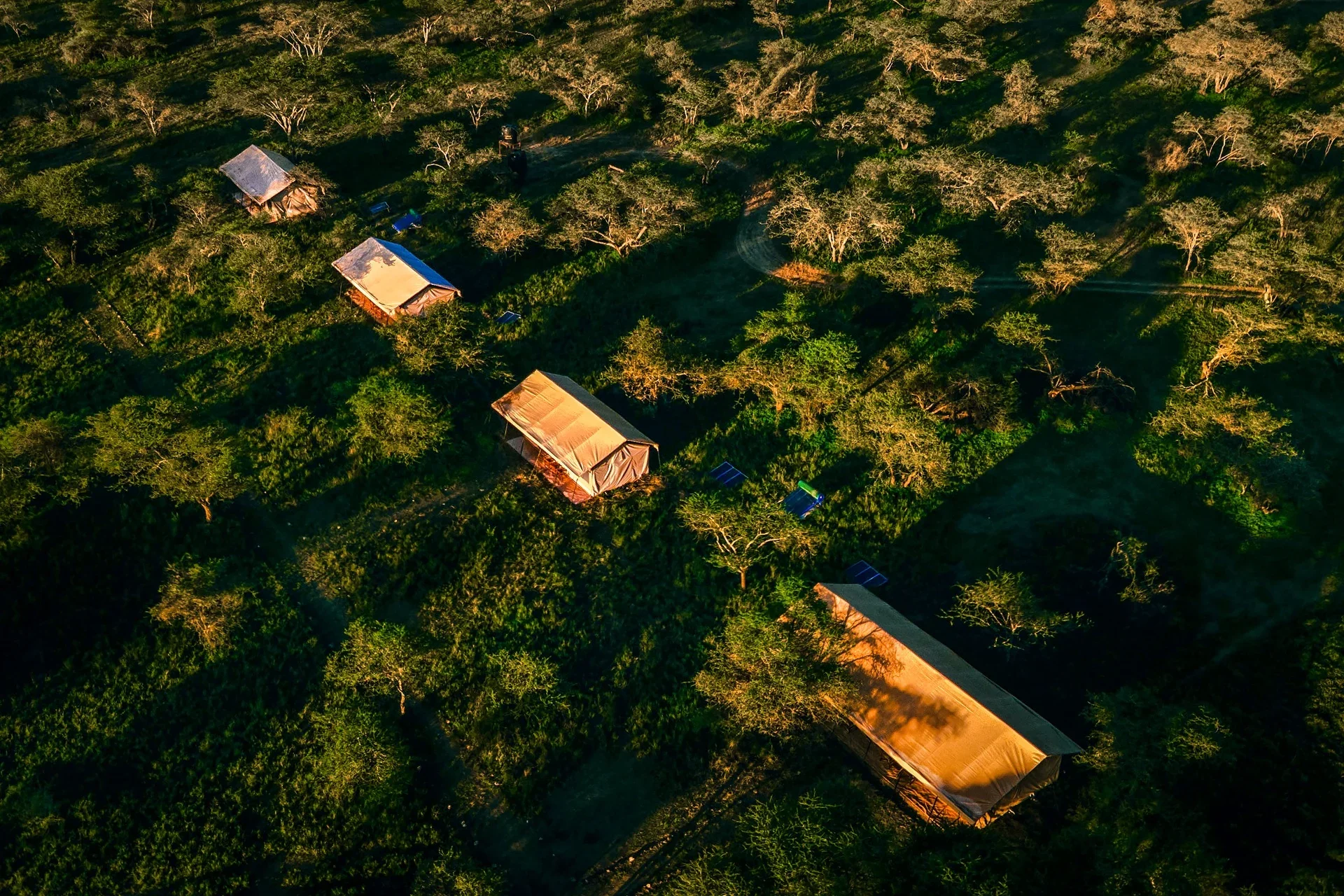 Gnu Ndutu Camp
