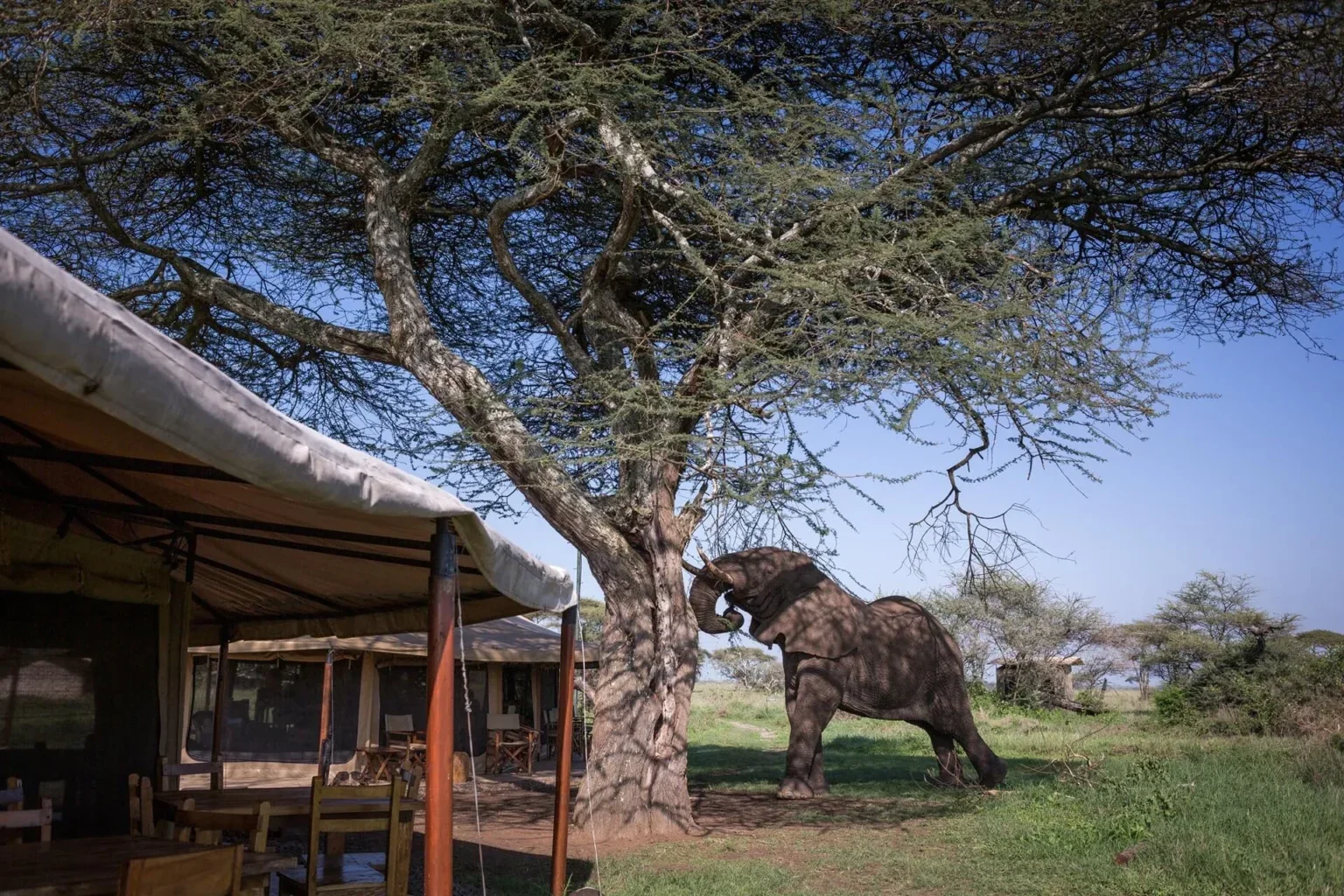 Mawe Tented Camp