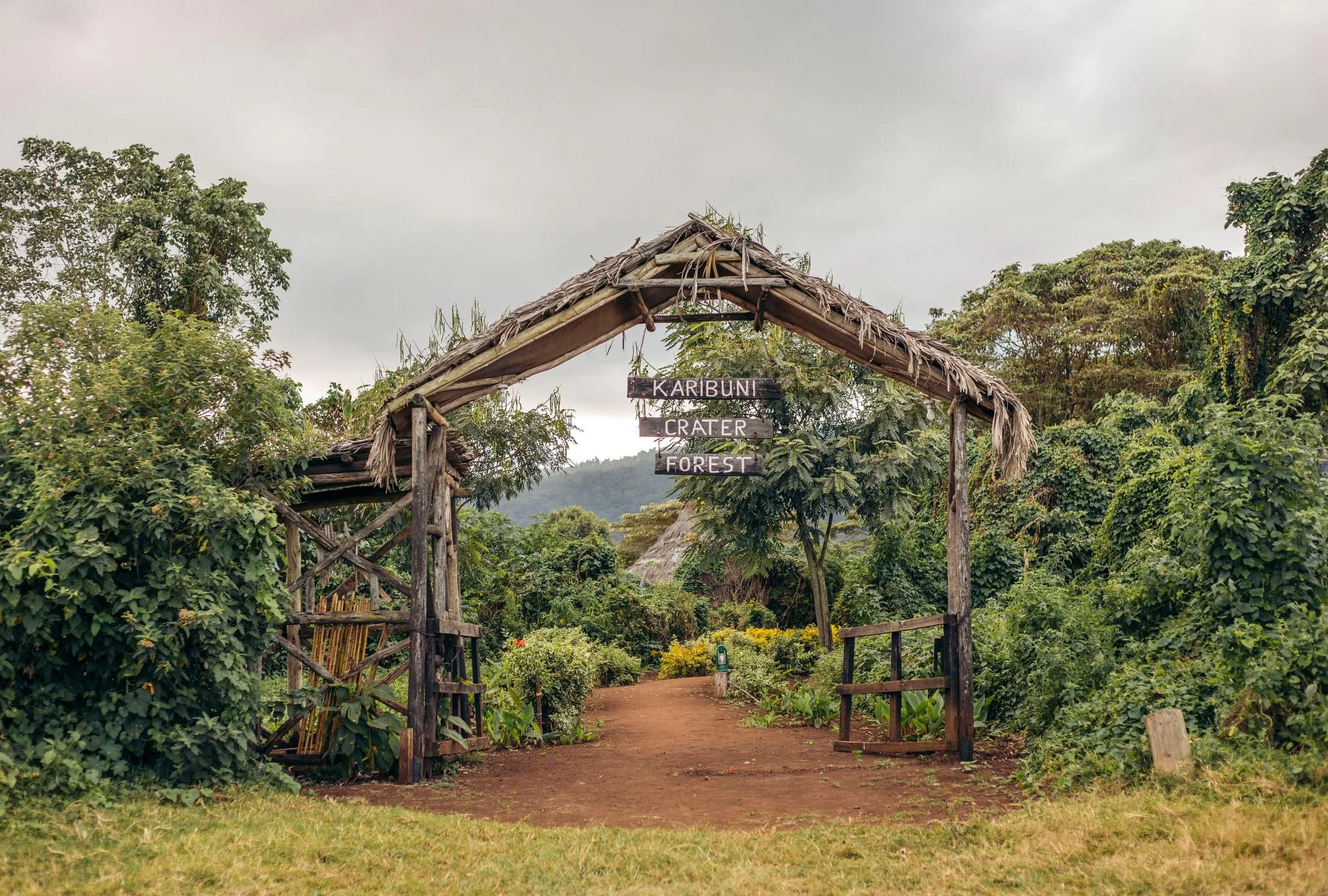 Crater Forest Tented Camp