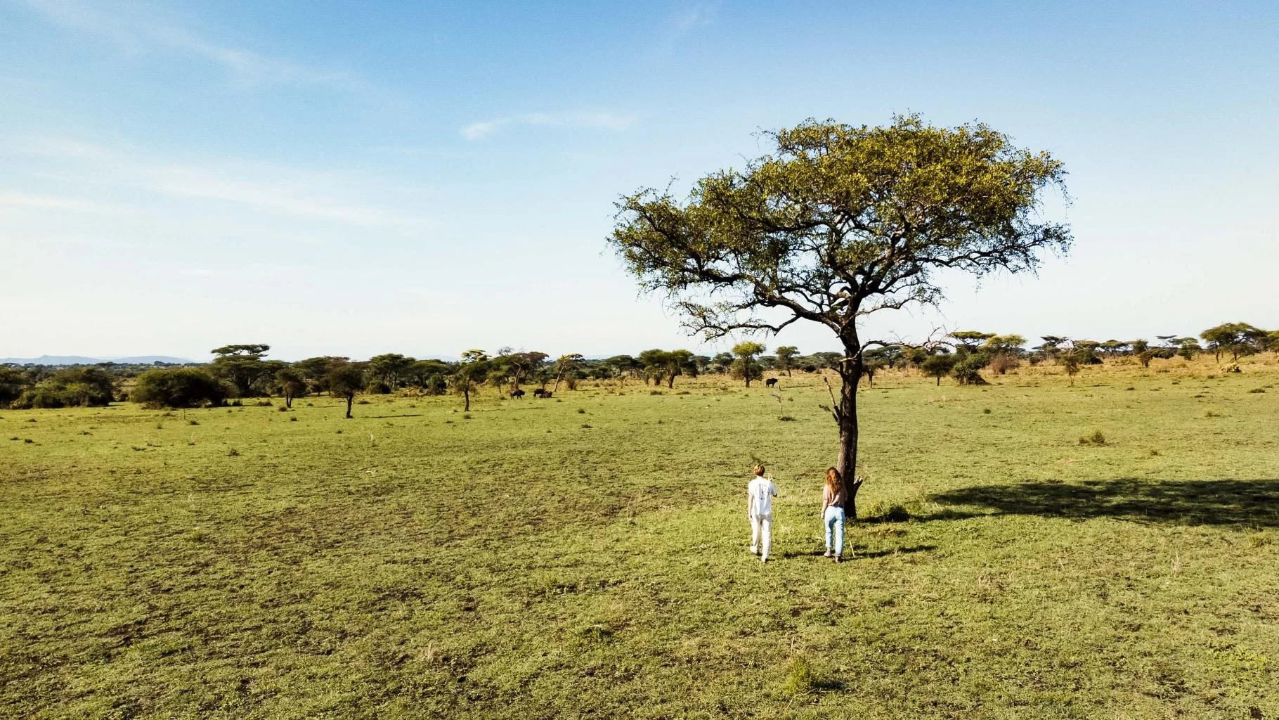 Ikoma Tented Camp