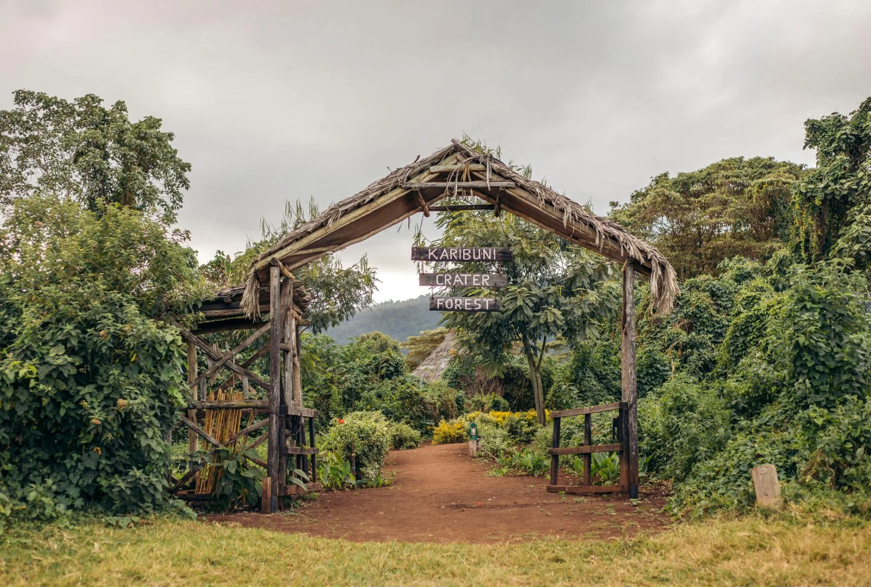 Crater Forest Tented Camp