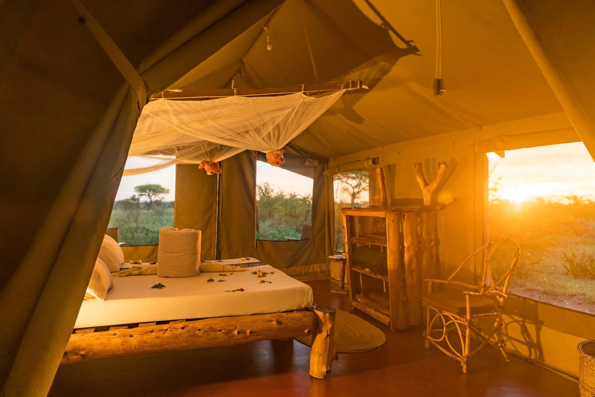 Ikoma Tented Camp