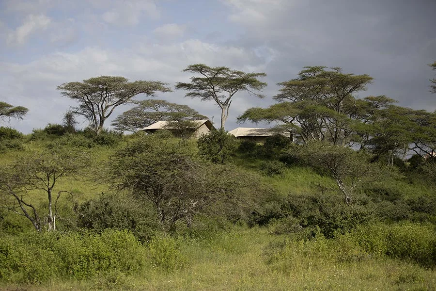 Nyikani Migration Camp – Ndutu