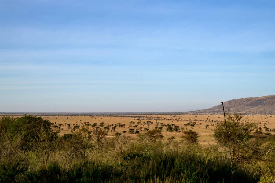 Nyikani Camp Central Serengeti