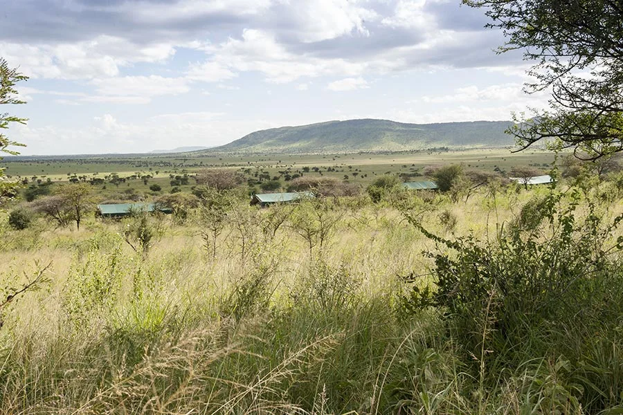 Nyikani Camp Central Serengeti