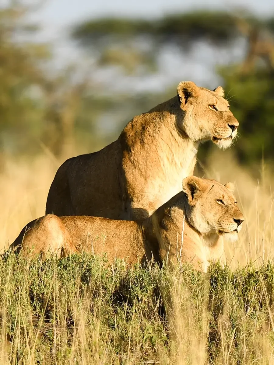 One Nature Nyaruswiga