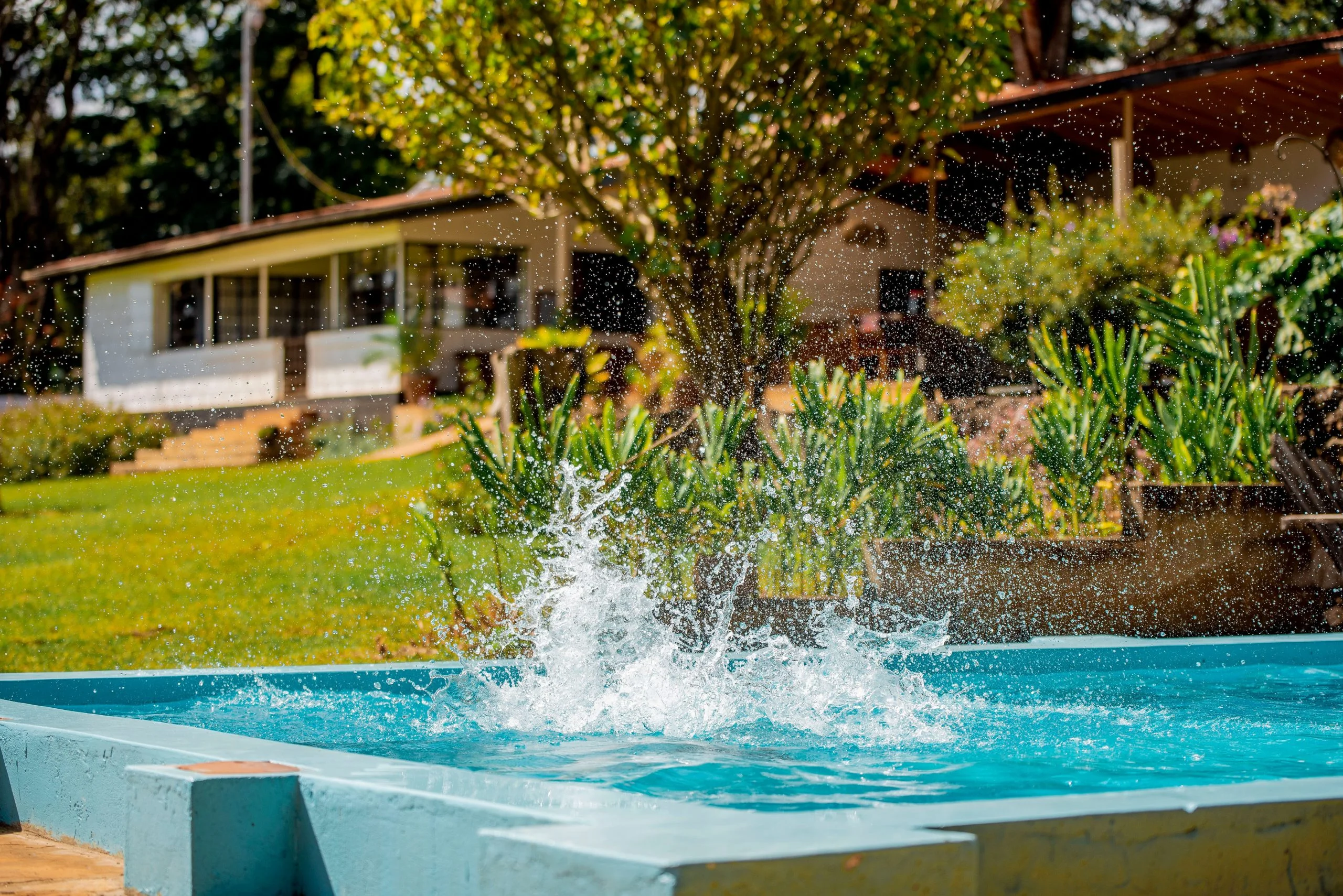 Simba Farm Lodge