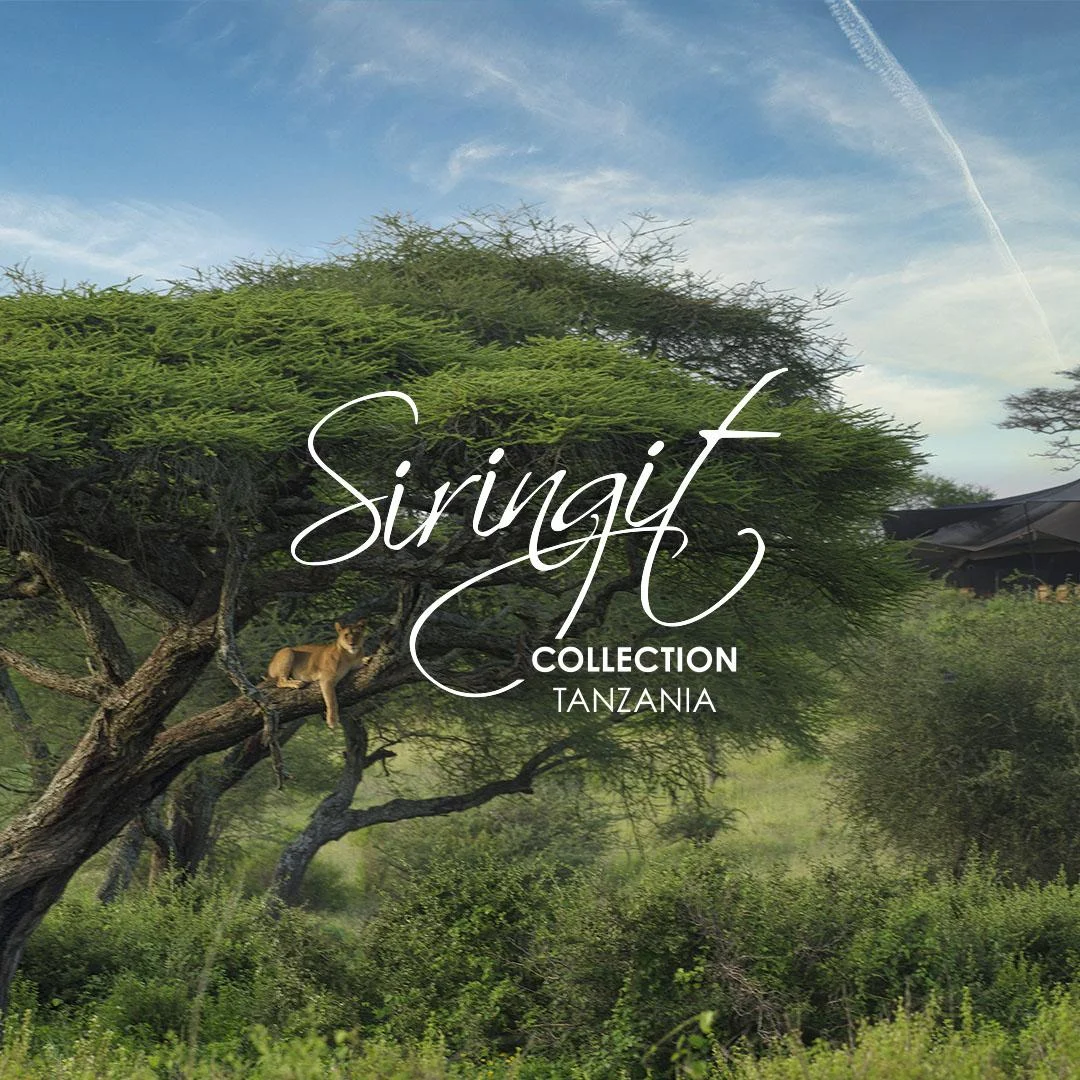 Siringit Migration Camp