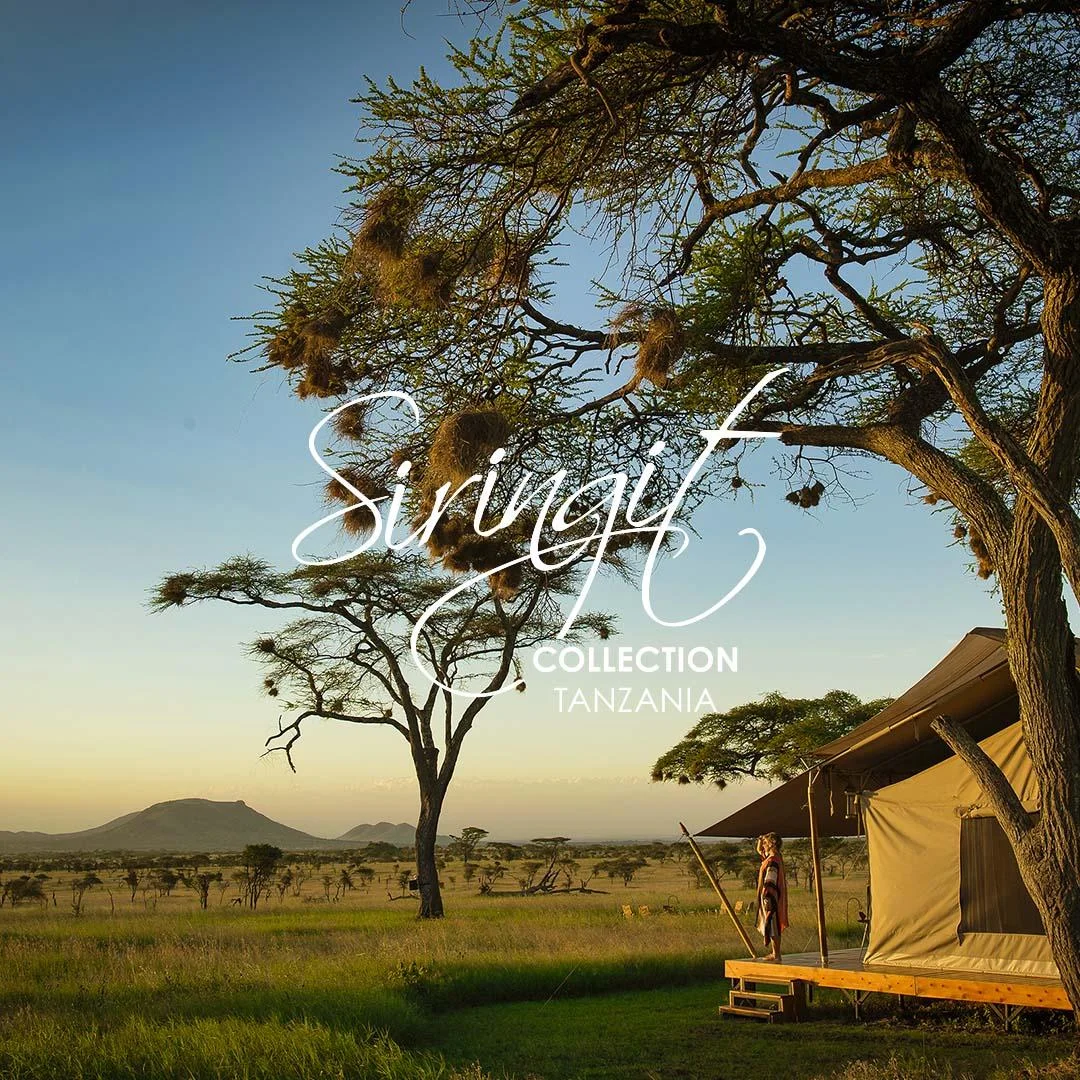 Siringit Serengeti Camp