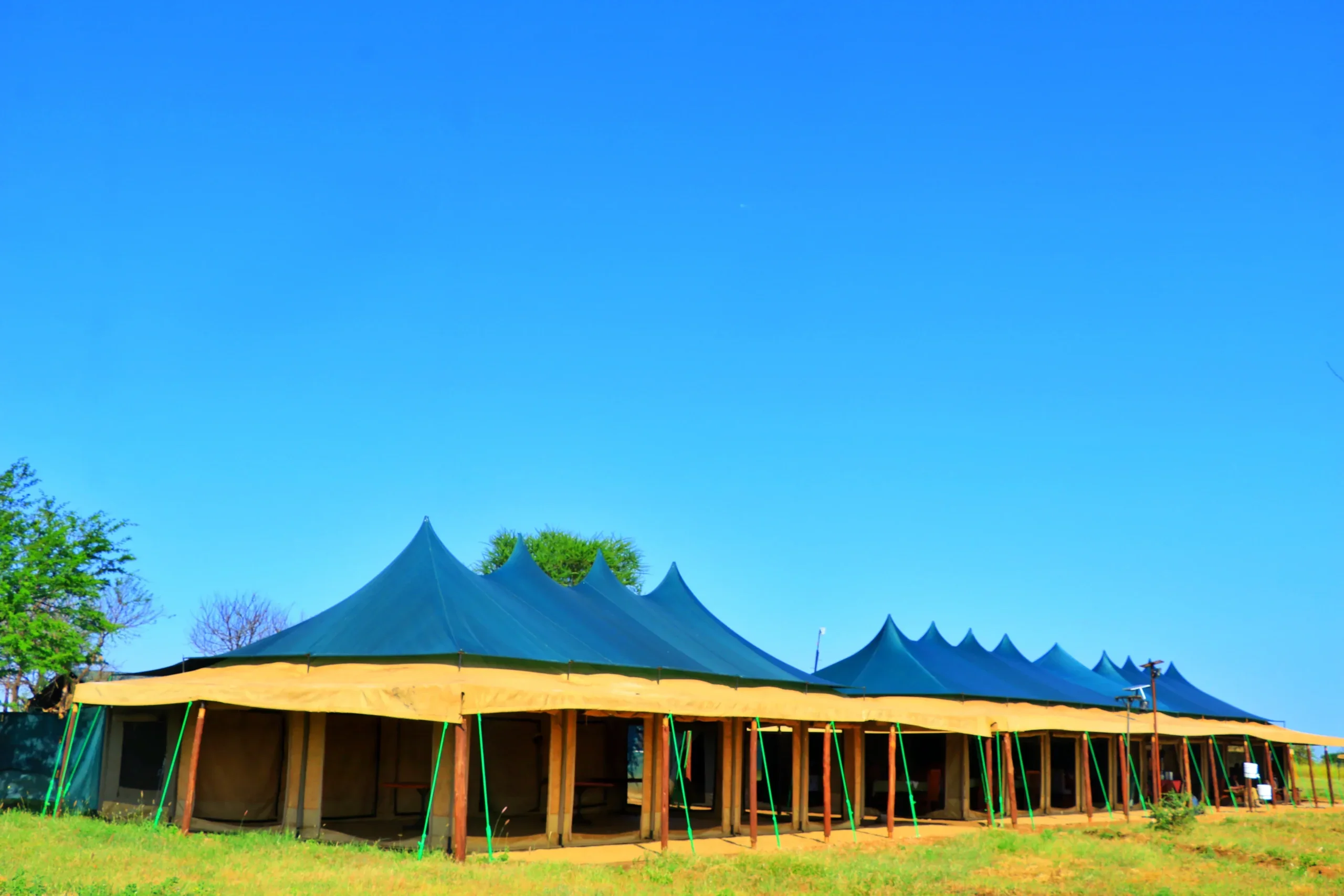 Central Serengeti – Tembo (Tanzania Bush Camps)