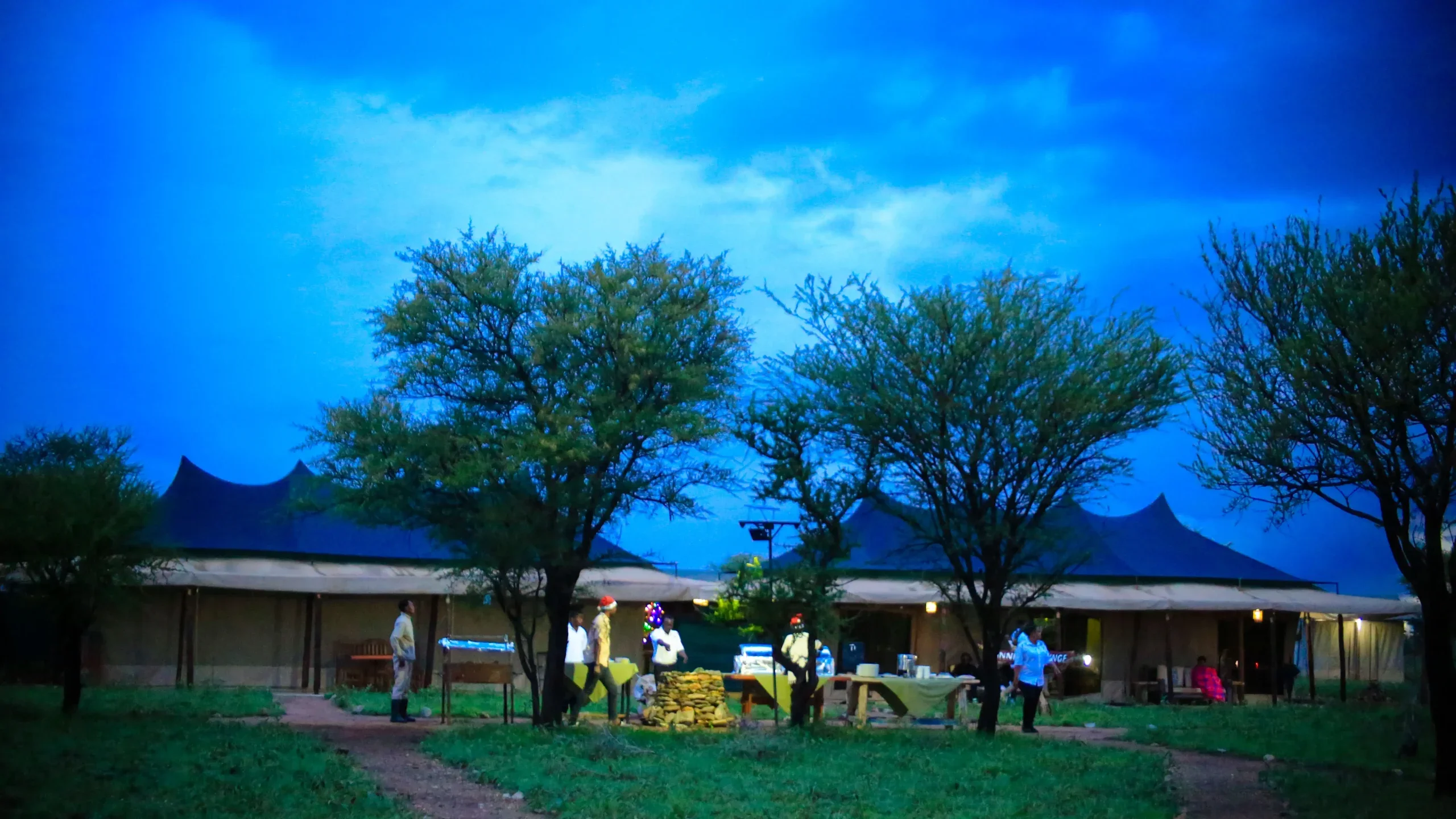Central Serengeti – Tembo (Tanzania Bush Camps)