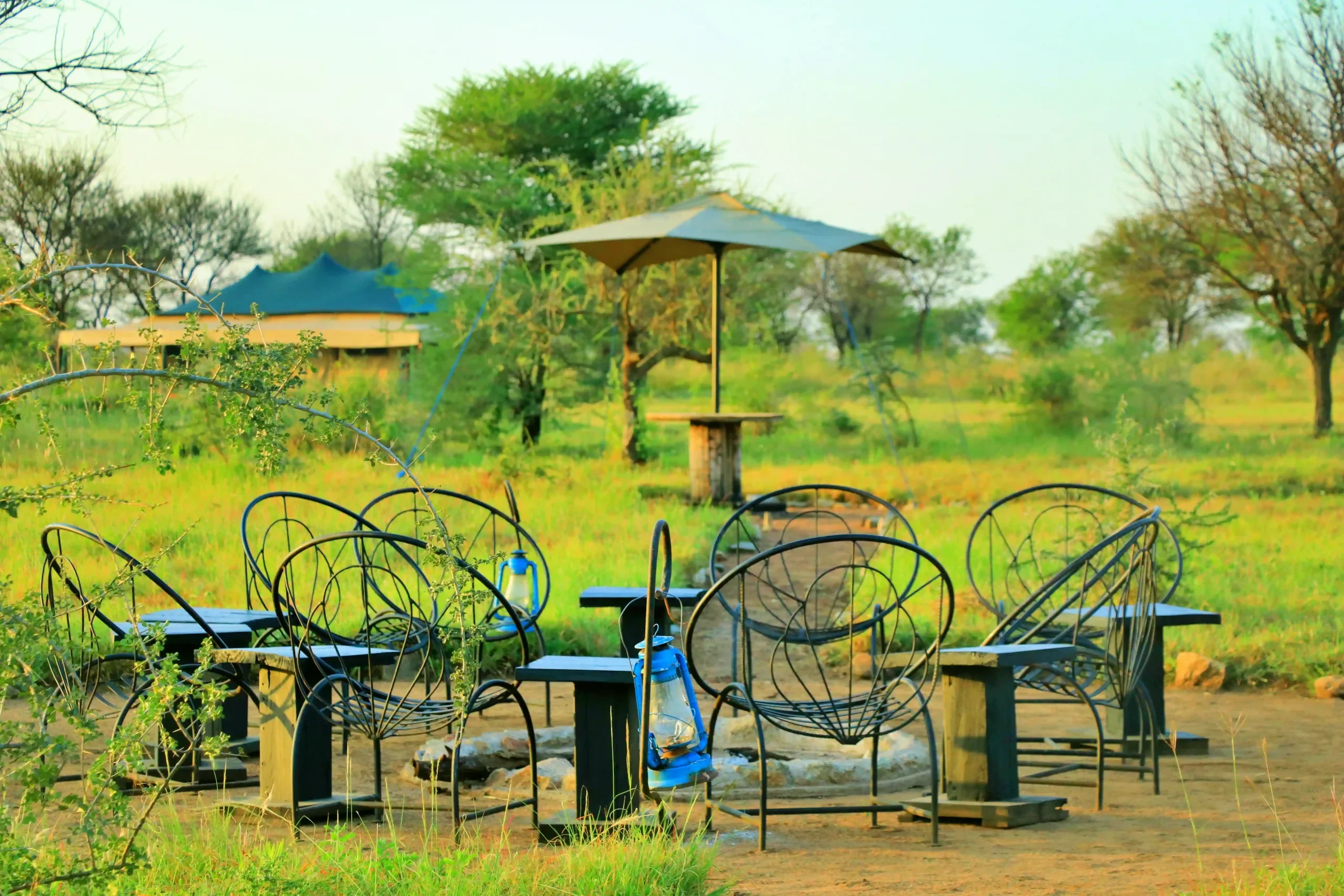Central Serengeti – Tembo (Tanzania Bush Camps)