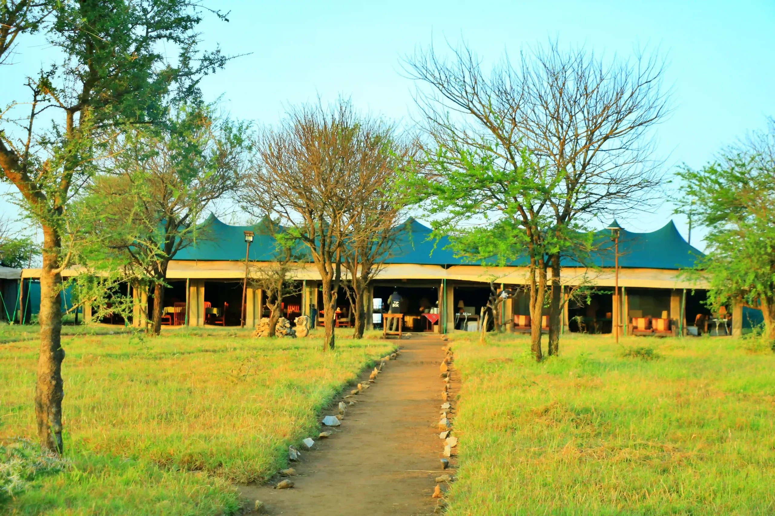 Central Serengeti – Tembo (Tanzania Bush Camps)