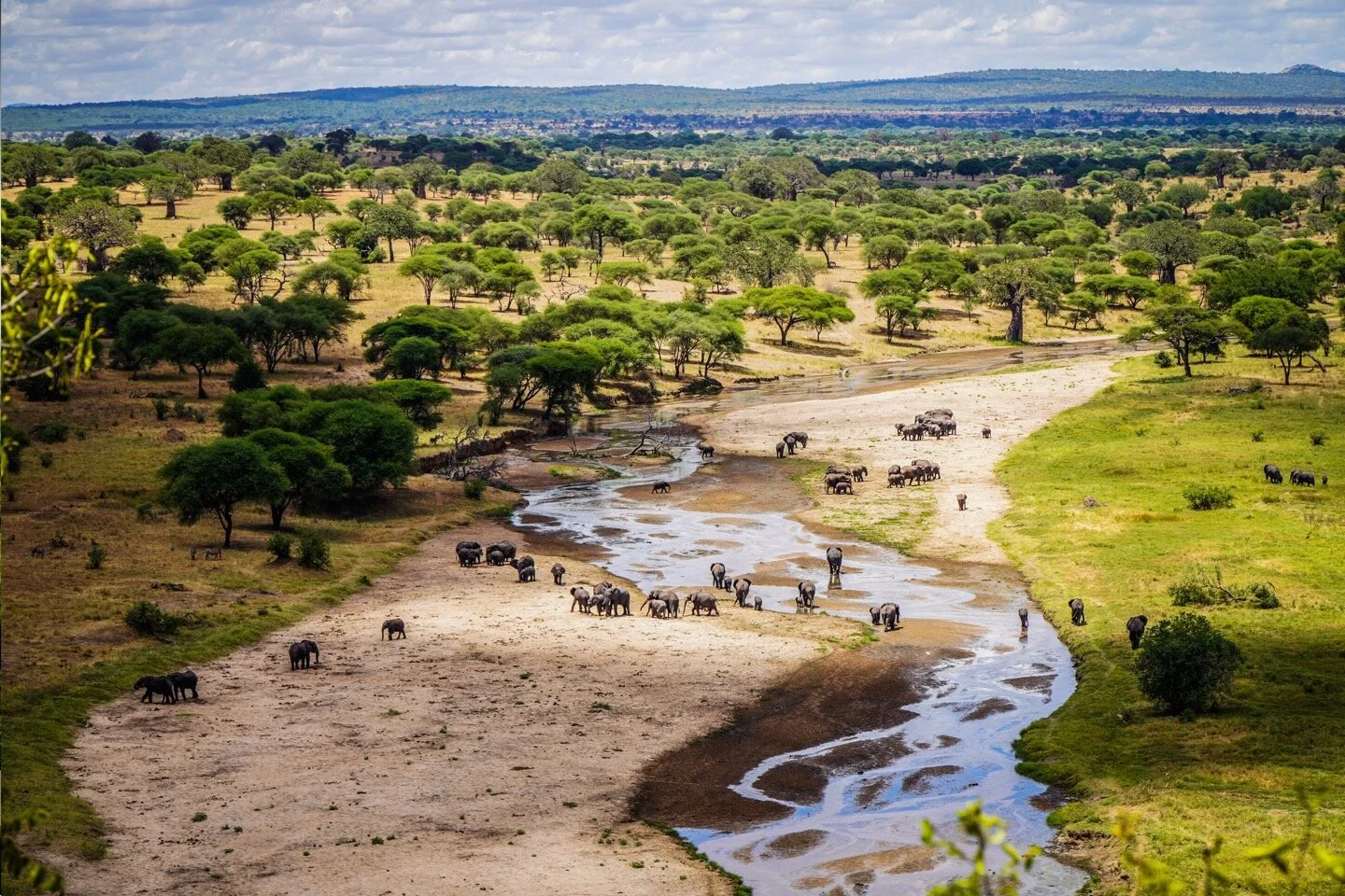 Tarangire Safari Lodge