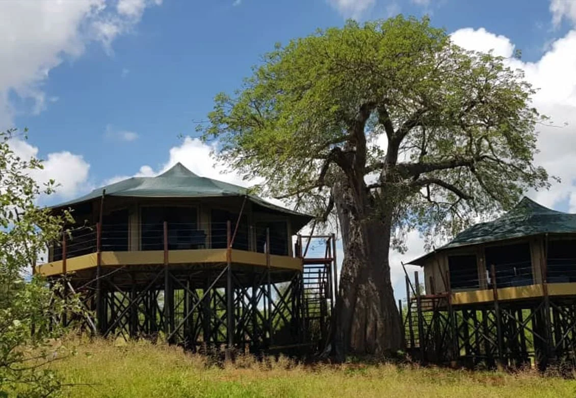 Tarangire Kuro Treetops Lodge