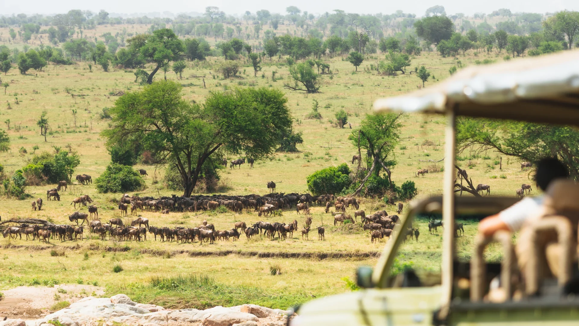 5 Days Tanzania Luxury Safari