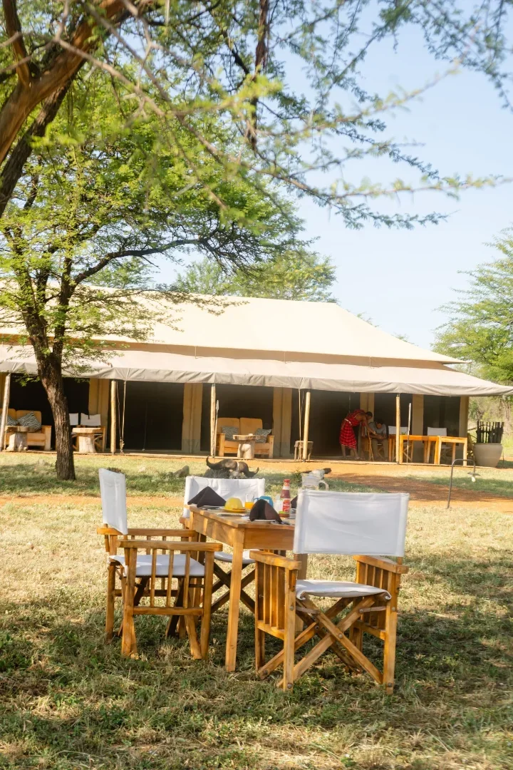11- Day Epic Migration Premium Safari with Elewana Collection gallery item 5