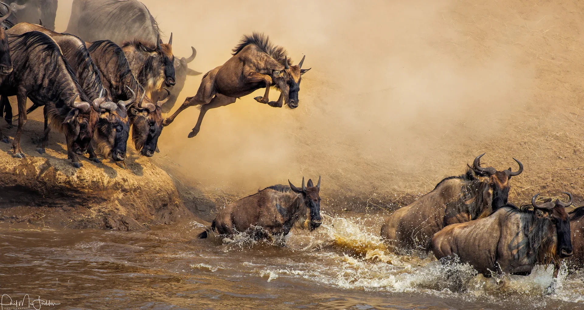 11- Day Epic Migration Premium Safari with Elewana Collection gallery item 1