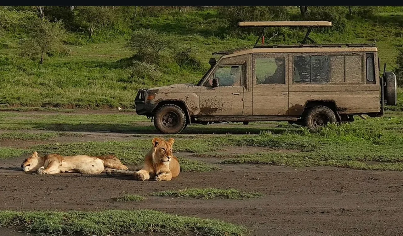 11- Day Epic Migration Premium Safari with Elewana Collection gallery item 11