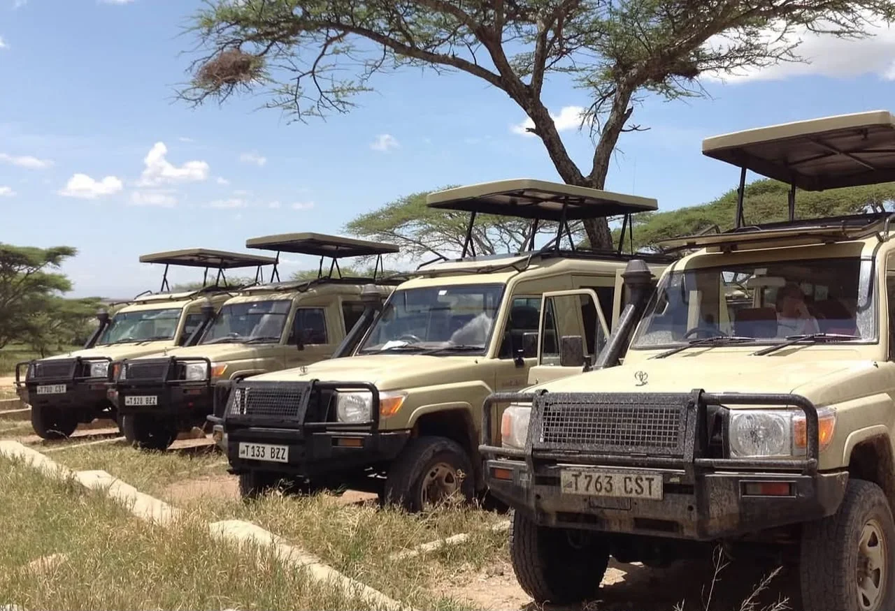 11- Day Epic Migration Premium Safari with Elewana Collection gallery item 17