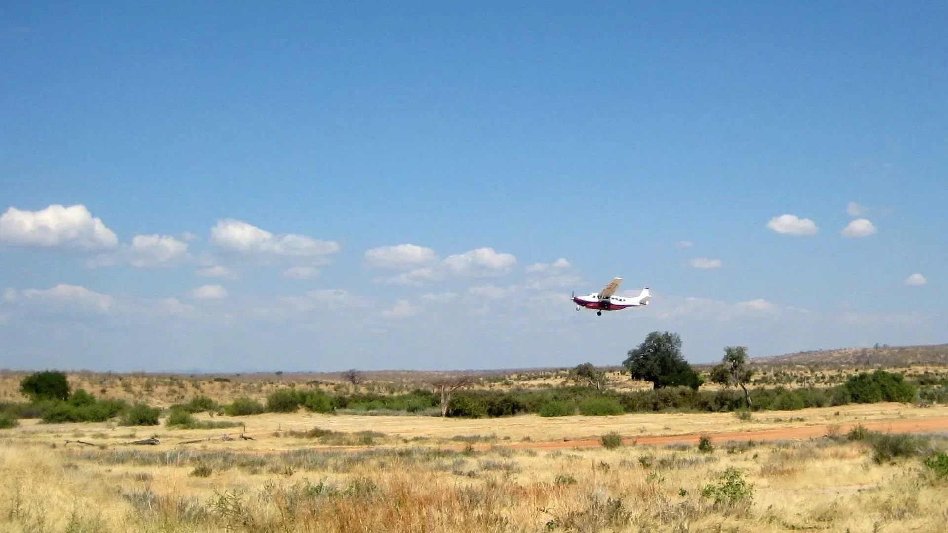 4-Day Fly-In Serengeti Safari by Bush Plane in Tanzania