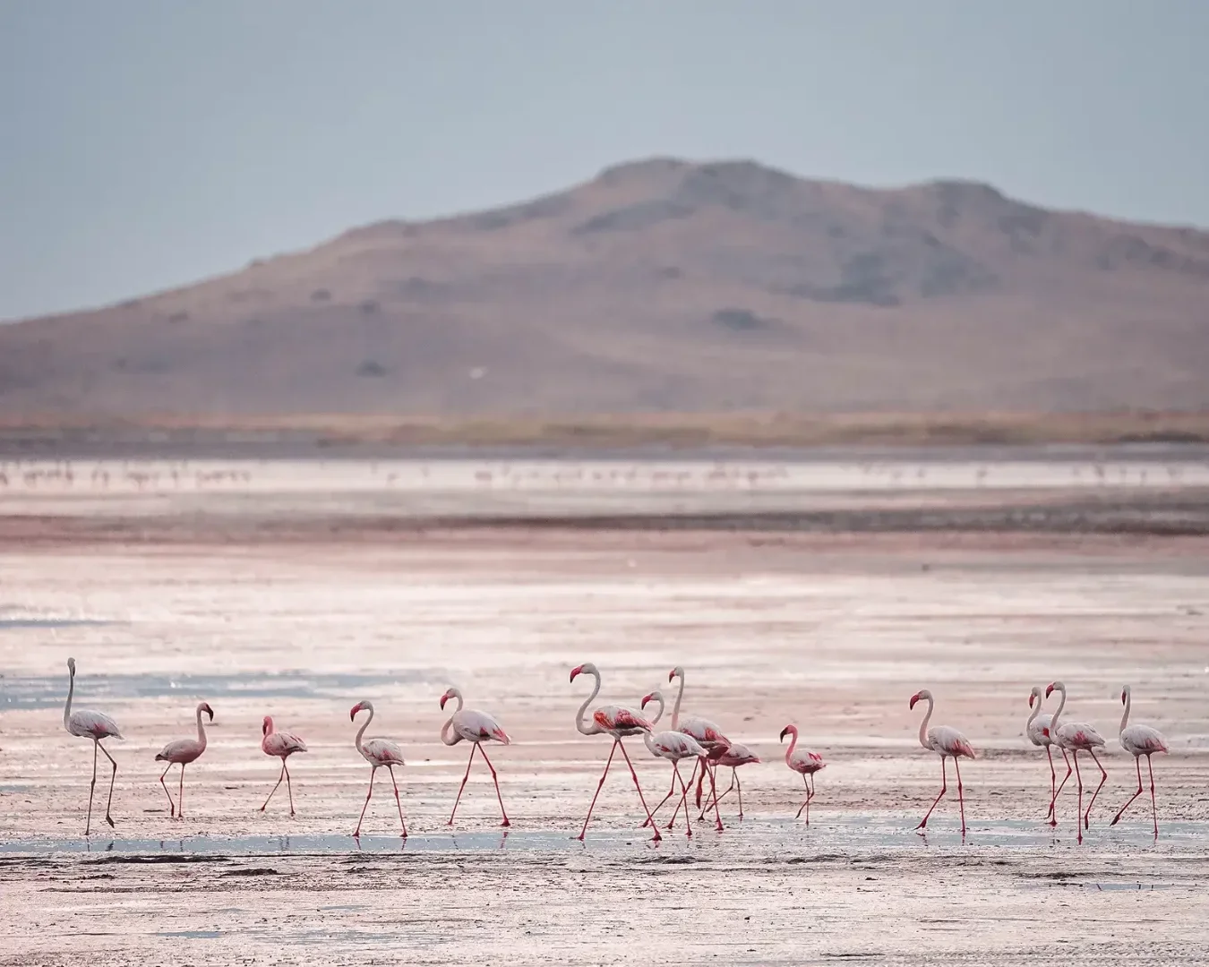 10-Day Into The Wild Luxury Tanzania Safari gallery item 4