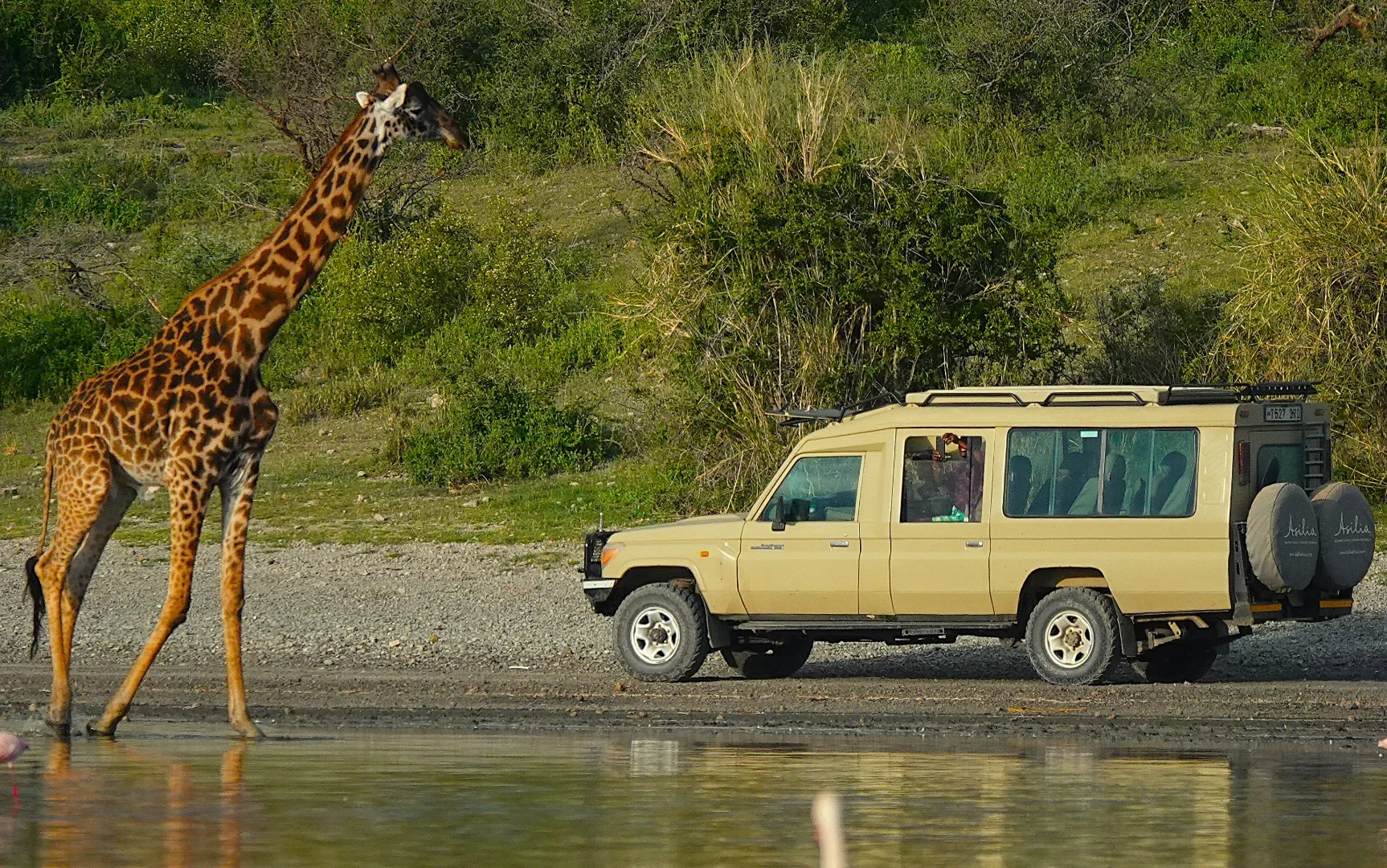Lake Natron