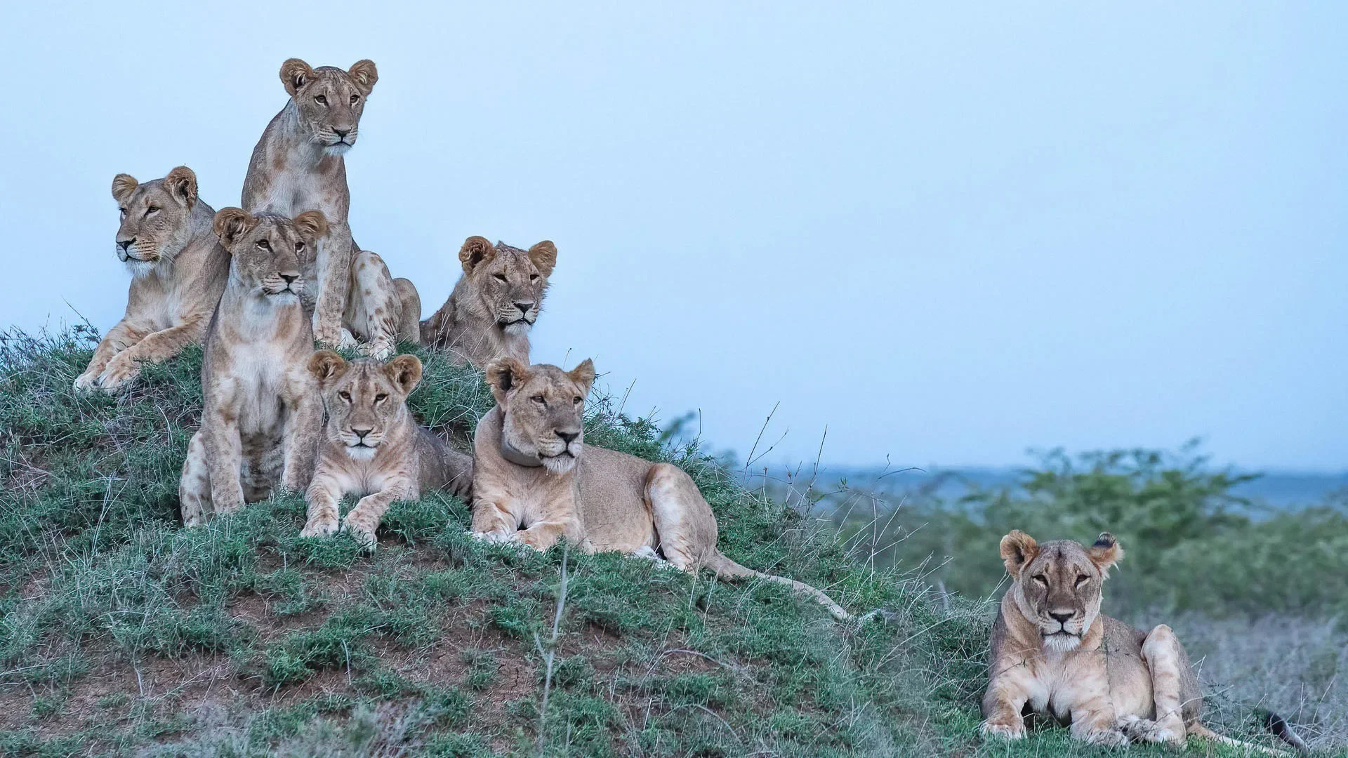 Arrival in Nairobi