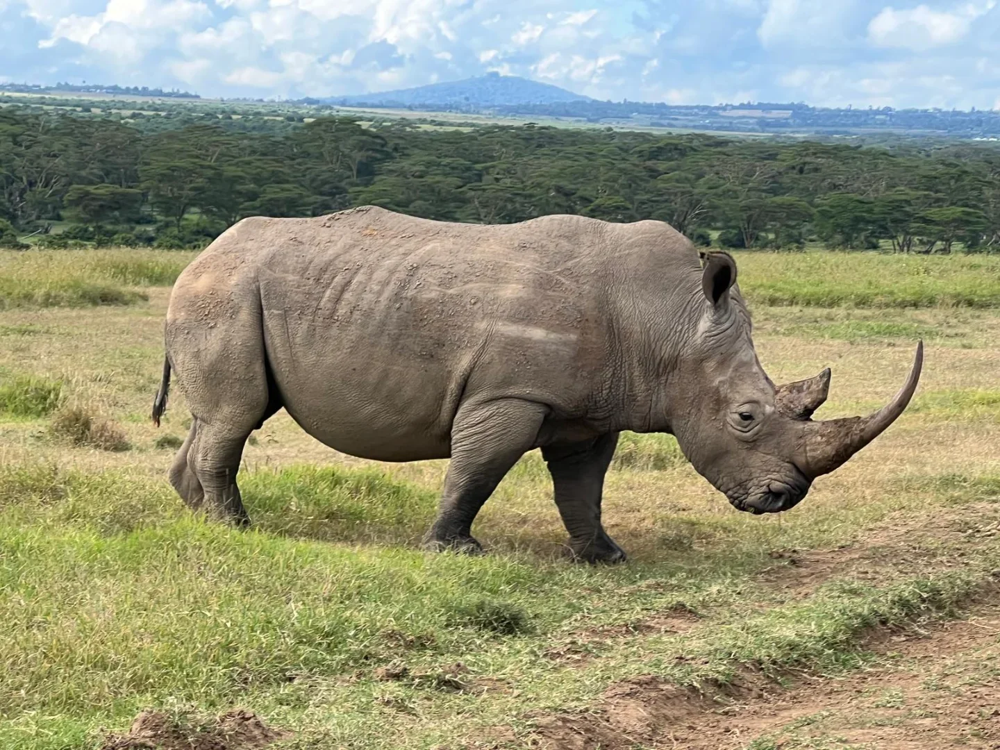 Ngorongoro Crater