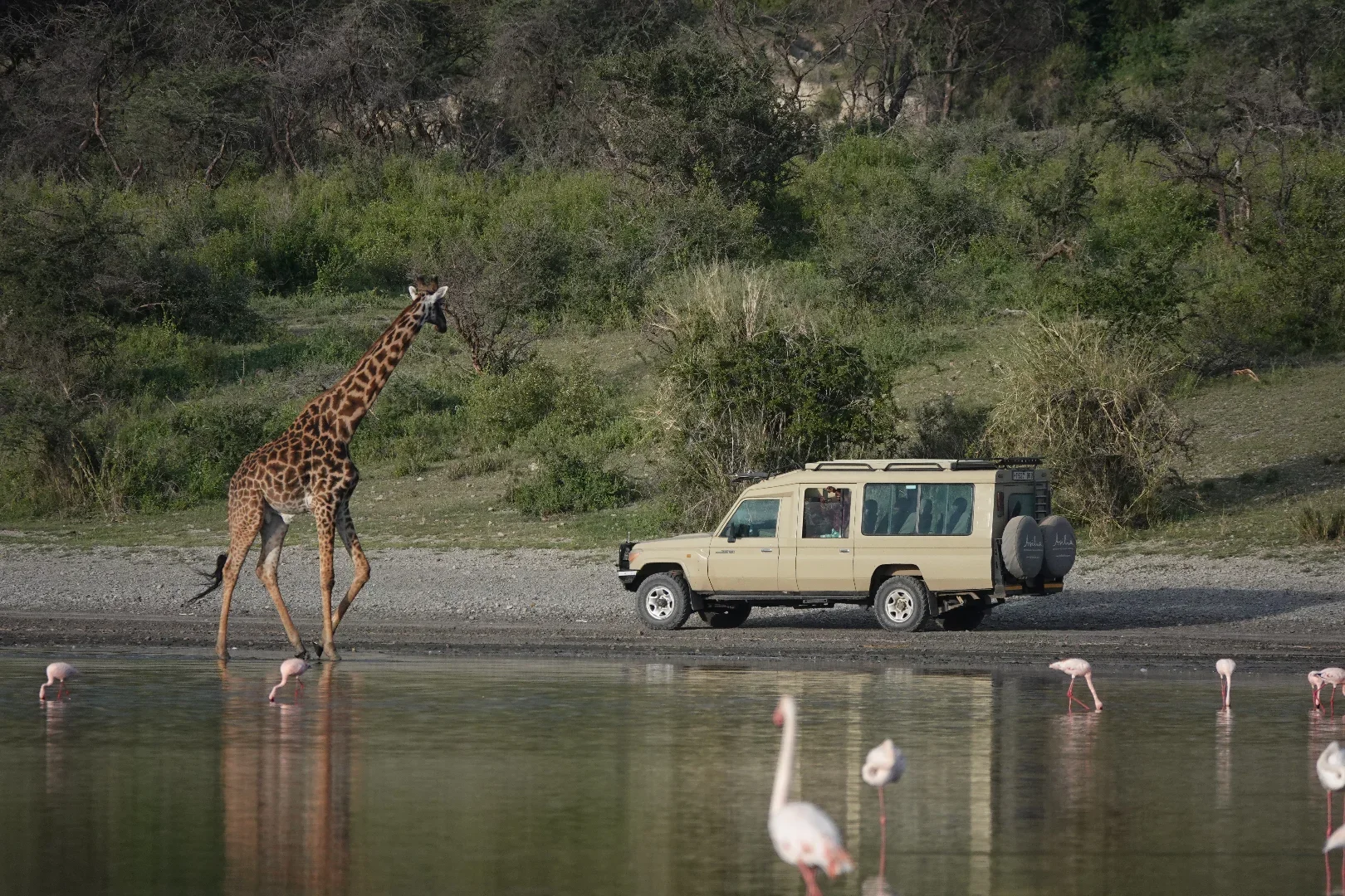 9-Day Great Migration & Relaxation Safari gallery item 9
