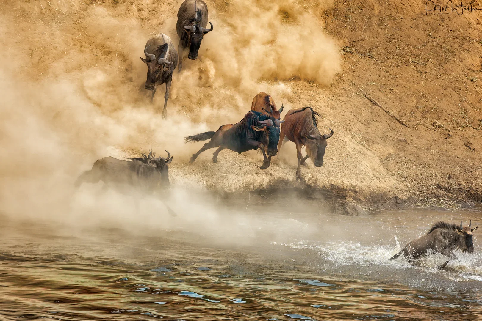 11- Day Epic Migration Premium Safari with Elewana Collection in Tanzania